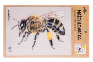 Nažehlovačka včela